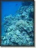DSCN1387