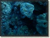 DSCN1390