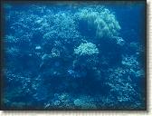 DSCN1399