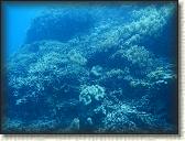 DSCN1401
