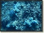 DSCN1402
