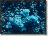 DSCN1403