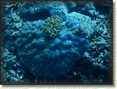 DSCN1404