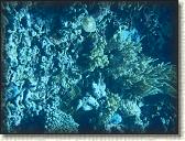 DSCN1405