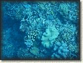 DSCN1406