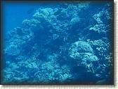 DSCN1407
