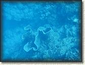 DSCN1409
