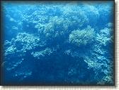 DSCN1410