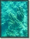 DSCN1416
