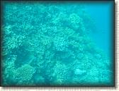 DSCN1421