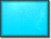 DSCN1423