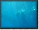 DSCN1428