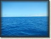 DSCN1451