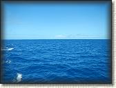 DSCN1452