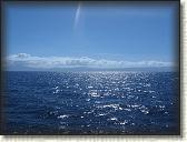 IMG_0461