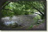 DSC02734
