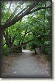 DSC02740