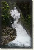 DSC01768