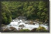 DSC01771
