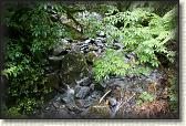 DSC01854