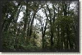 DSC01859
