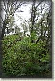 DSC01865