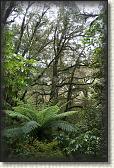 DSC01866