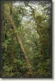 DSC01879