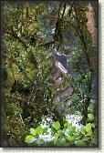 DSC01881