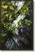 DSC01887