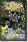 DSC01890
