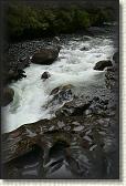 DSC01893