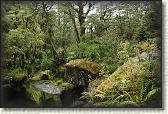 DSC01904