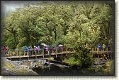 DSC01907