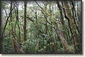 DSC01908