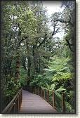 DSC01909
