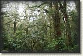 DSC01912