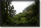 DSC01914