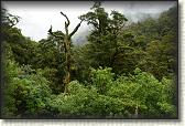 DSC01917