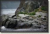 DSC02031