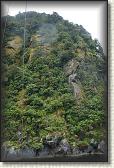 DSC02070
