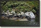 DSC02200