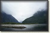 DSC02386