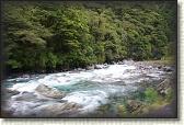 DSC02446