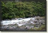 DSC02447