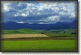 DSC02507