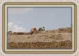 IMG_6793