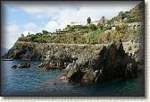 DSC05849