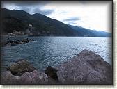 IMG_1542