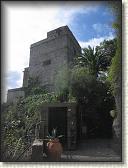 IMG_1571
